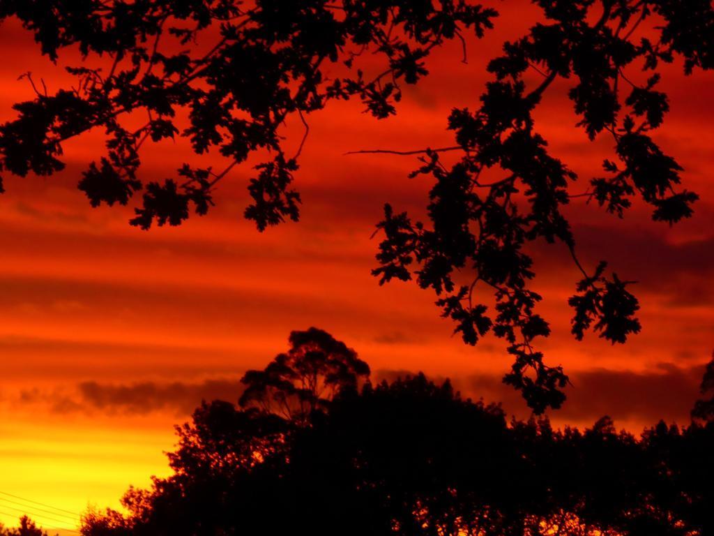 Jacaranda Lodge Coromandel Bagian luar foto