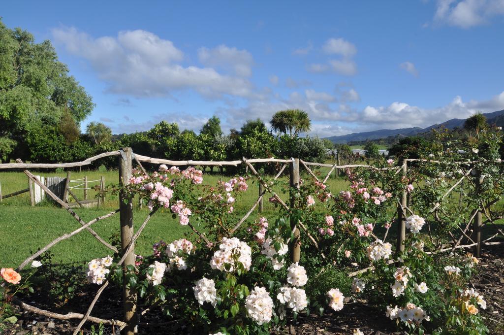 Jacaranda Lodge Coromandel Bagian luar foto