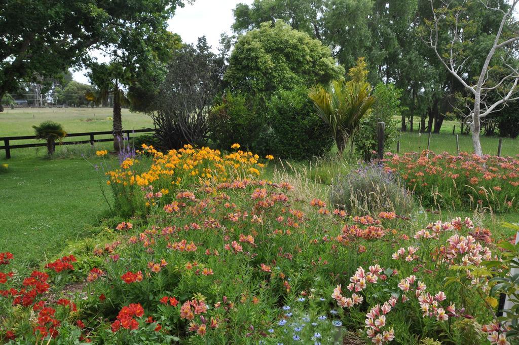 Jacaranda Lodge Coromandel Bagian luar foto