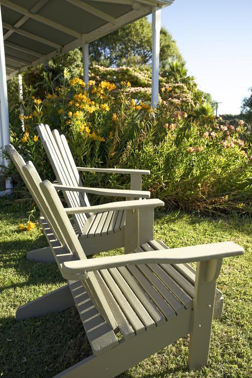 Jacaranda Lodge Coromandel Bagian luar foto