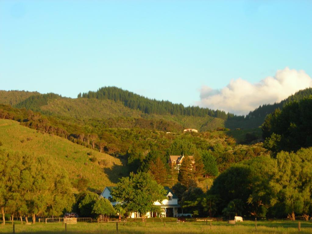 Jacaranda Lodge Coromandel Bagian luar foto