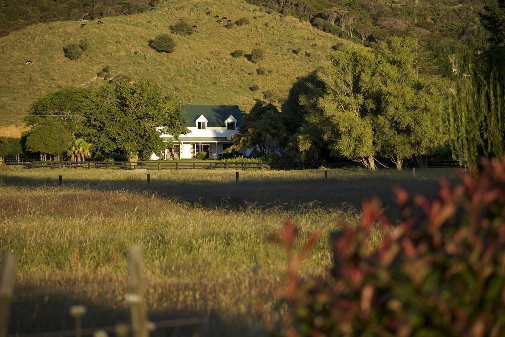 Jacaranda Lodge Coromandel Bagian luar foto
