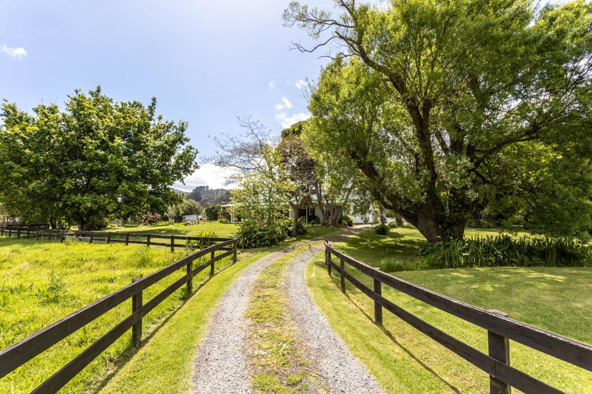 Jacaranda Lodge Coromandel Bagian luar foto