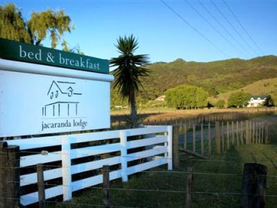 Jacaranda Lodge Coromandel Bagian luar foto