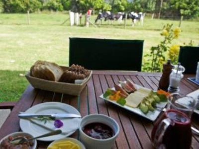 Jacaranda Lodge Coromandel Bagian luar foto
